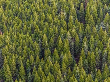 Hero Leuna Harze webinar