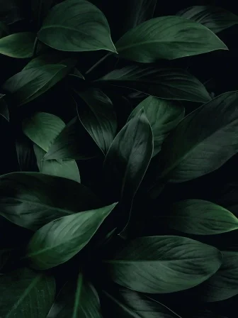 Sustainability portfolio.jpg