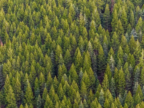 Hero Leuna Harze webinar