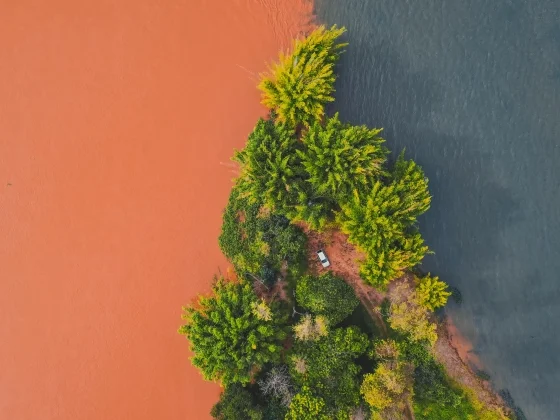 Hyaluronic Tucuma Extra & Hyaluronic Tucuma Pro