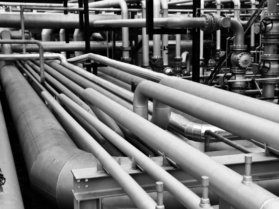 Production & Packaging